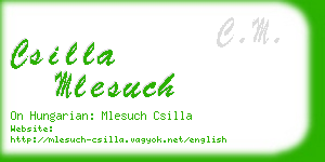 csilla mlesuch business card